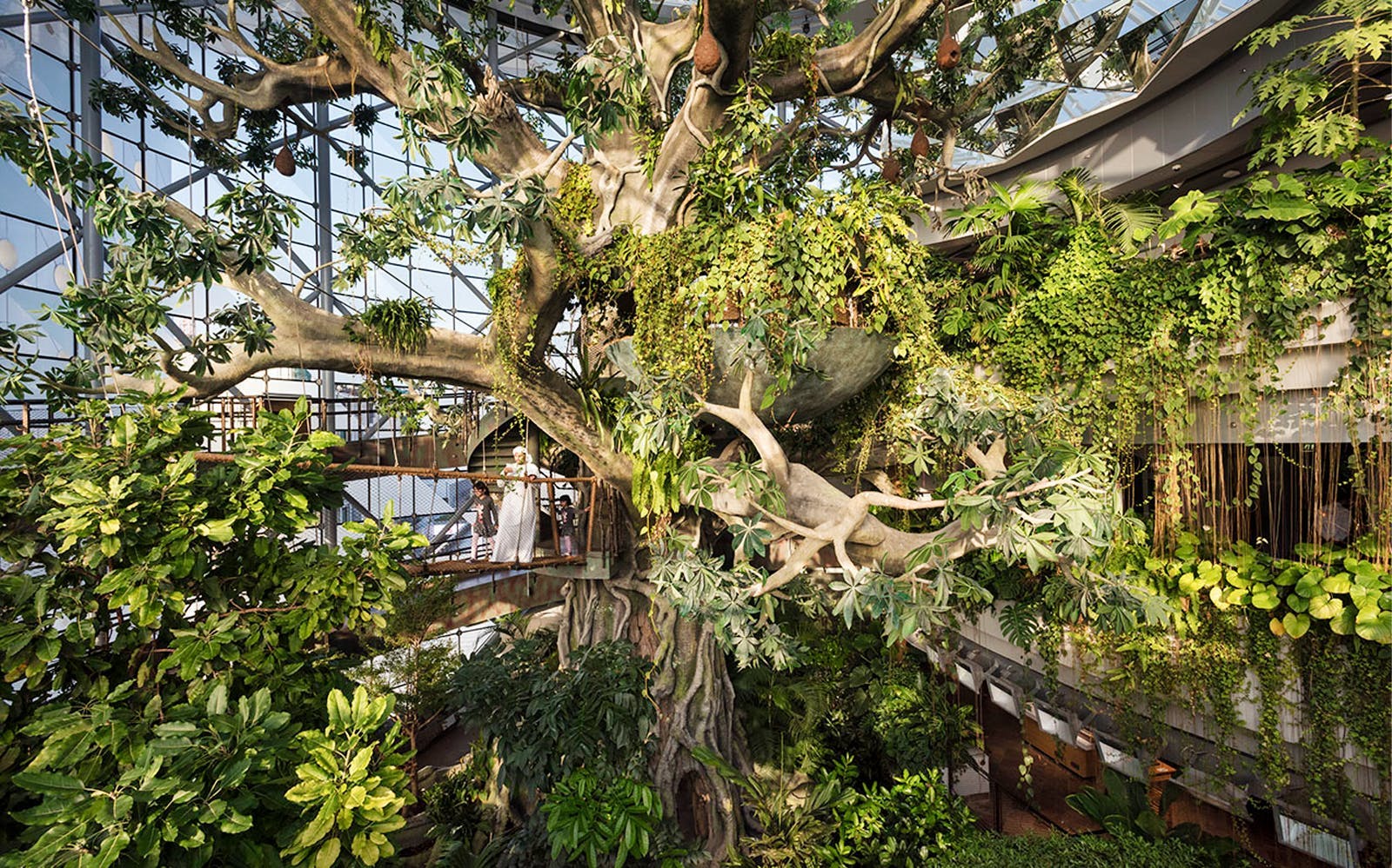 The Green Planet – A Tropical Rainforest Indoors